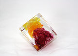 Christopher Morrison Glass Cube