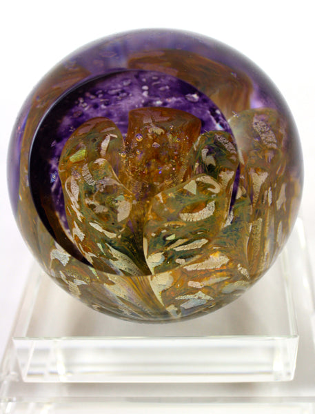 IMG_5420_grande.JPG?v=1571264853