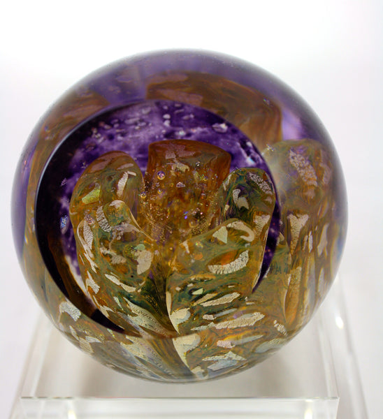 IMG_5421_grande.JPG?v=1571264853