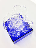 Anna Lou Glass Colored Acrylic Base