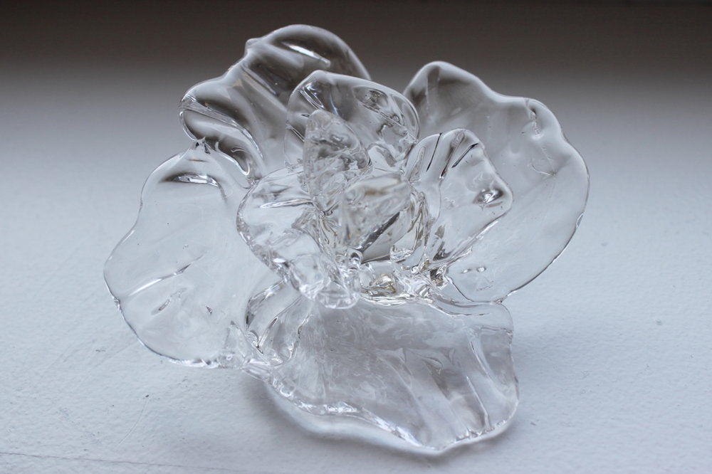 glass flower pictures