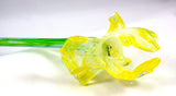 Sam Stark Glass Yellow Iris
