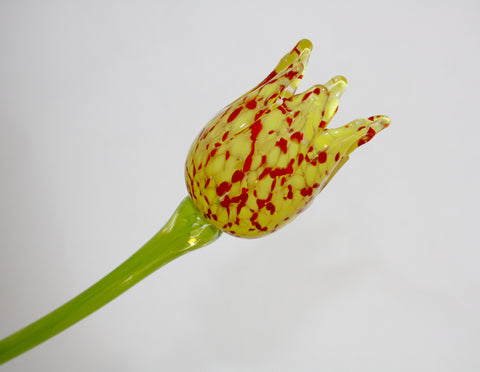 Sam Stark Glass Red & Yellow Tulip Flower
